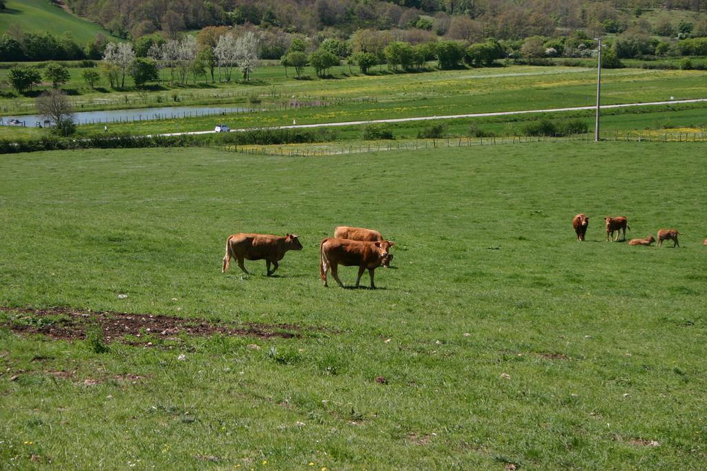 Il Poggiolo Bauernhof